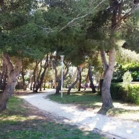 Le Panorama: Spacious Terrace With Amenities *