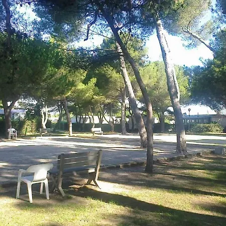 Le Panorama: Spacious Terrace With Amenities Campsite *