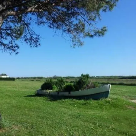 Le Panorama: Spacious Terrace With Amenities Campsite *