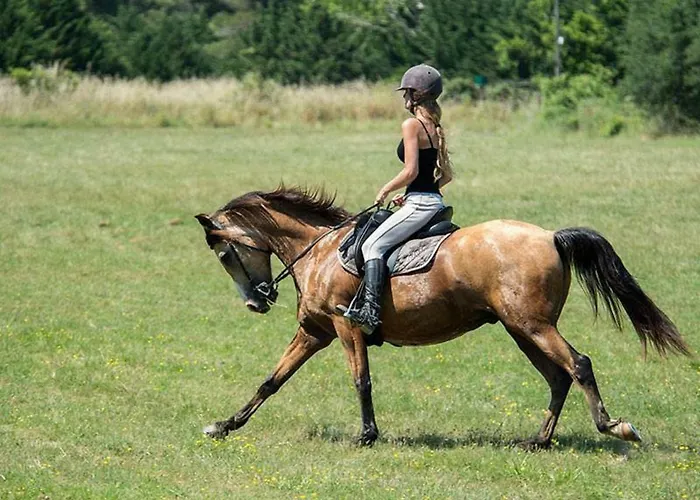 Le Panorama, 3 Ch, 43m2, Climatise, Super Equipe, Draps, Linge De Maison Inclus, Terrasse Fermable De 18m2 * لات